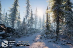 Winter Environment - Nature Pack